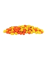 Up Fish Wafters DONALD SMALL1.jpg