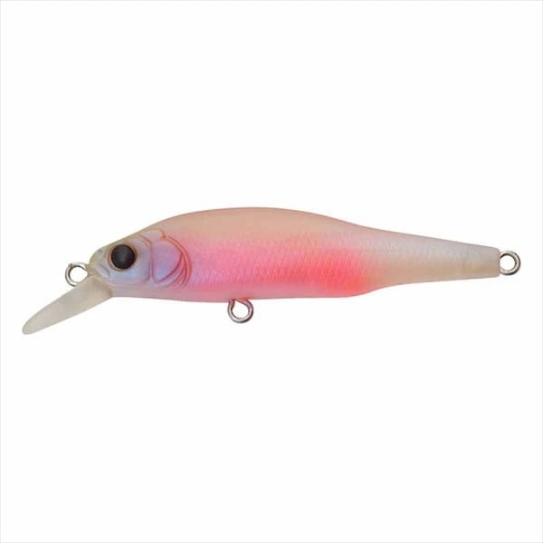 Wobler Megabass X-80 Jr.009 Baby Kingyo 6.5cm.jpg