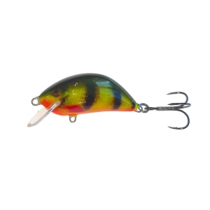 Wobler Kenart Hunter 6 NPX