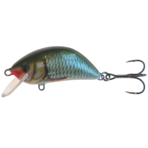 Wobler Kenart Hunter 6 R