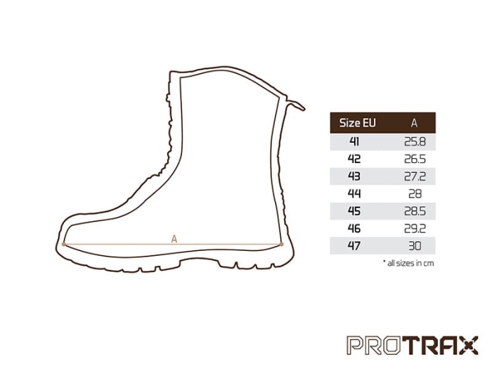 /environment/cache/images/productGfx_148749_700_700/Buty-Delphin-ProTRAX-Roz.476.jpg