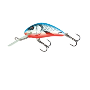 Wobler Salmo Hornet 4cm Dace Blue Sinking