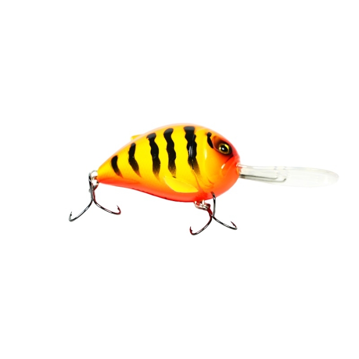 orange tiger.jpg