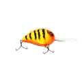 orange-tiger.jpg