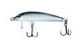 bonito_szary.jpg