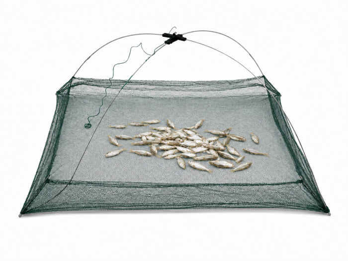 /environment/cache/images/productGfx_154677_700_700/ryby.png