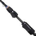 Rod-H2-SPIN-01.jpg