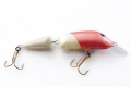 DSC_0143-small.jpg