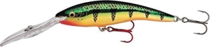 RAPALA Deep Tail Dancer 9cm TDD-09-FLP