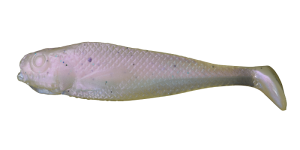 Realistic Shad JAZGARZ 7cm J7 026 10szt