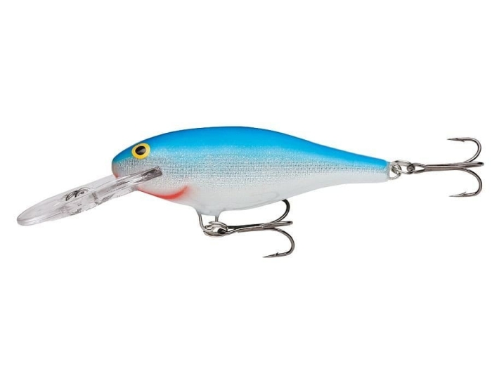shad-rap-9-b-1444120162.jpg
