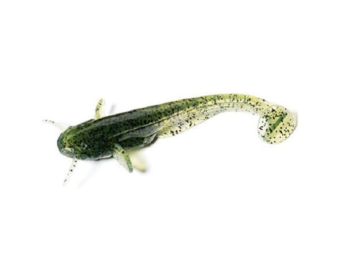 catfish-50mm-042-watermelon-seed-6b.jpg