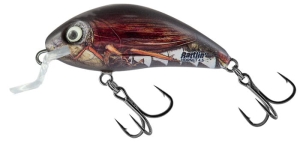 Salmo RATTLIN’ HORNET SHALLOW 4,5cm 5,5g Real Cockchafer