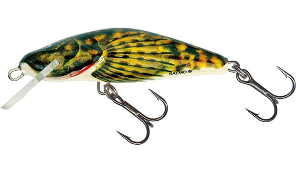bullhead-qbd003.jpg