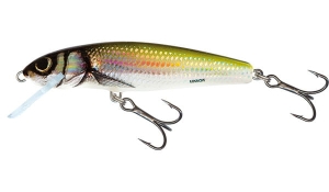 SALMO MINNOW 5cm 3g Holo Bleak FL