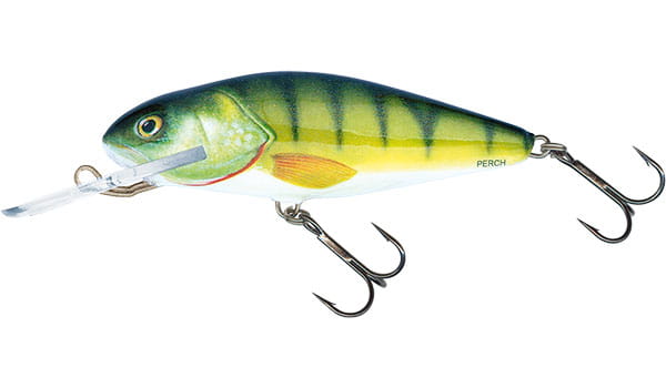 perch-qph004.jpg