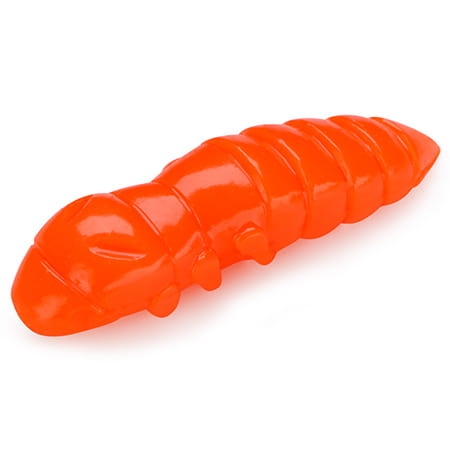 pupa-1.5-113.jpg