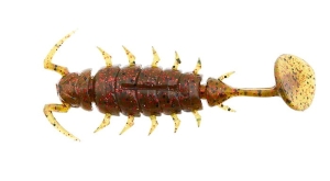 LUCKY JOHN ALIEN BUG 1,5" 3,8cm PA03 10szt.
