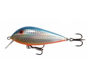 Wobler Kenart Bass 9 HBO