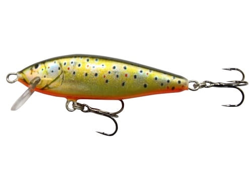 Wobler Kenart Glimmer 5 TR.jpg