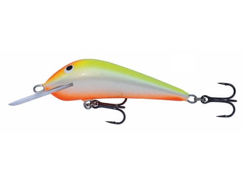 Wobler Kenart Dynamic 6 YR.jpg