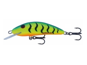 Wobler Kenart Winner 6 GT