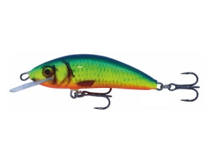 Wobler Kenart Winner 6 NRX