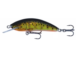 Wobler Kenart Winner 5 T