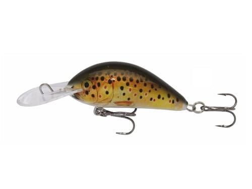 Wobler Kenart Shark 5 T.jpg