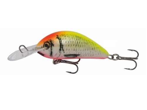 Wobler Kenart Shark 5 YR.jpg