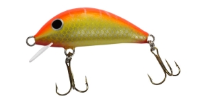 Gloog Hektor 40 SR Kolor TOF S