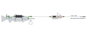 MADCAT System Sumowy ADjusta Dead Bait M/40g