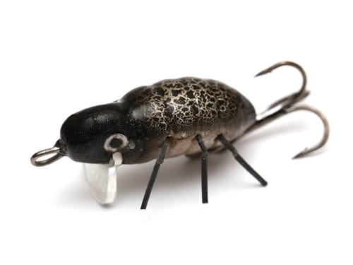 Hunter Osa  Kol.C FL.jpg