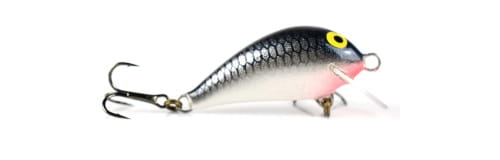 Wobler boleniowy Bzyk gk.jpg