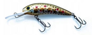 Gloog Kalipso 60 SDR K:TN1.