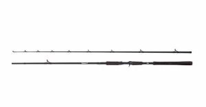 Abu Garcia BEAST Pike 842XH 2,54m 40-140g Cas 2cz