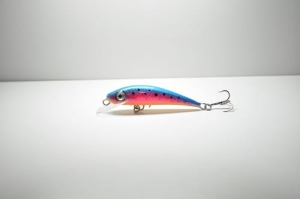 Wobler RCB Fury 5 4G #T024 FL