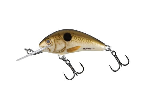 SALMO HORNET 4cm 3g Pearl Shad FL.jpg
