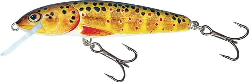 Salmo Minnow 6cm 4g Trout FL.jpg