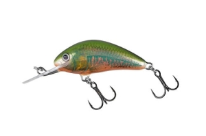SALMO HORNET 5cm 8g Holo Oikawa S