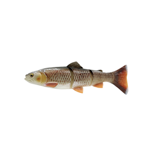 SG 4D Linethru Trout 40cm 685g SS Bream