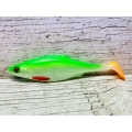 płoć-14-cm-fluo.jpg
