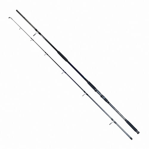 Welsrute Daiwa Exceler Catfish Spin 2.40 (Neu (gemäss Beschreibung)) in